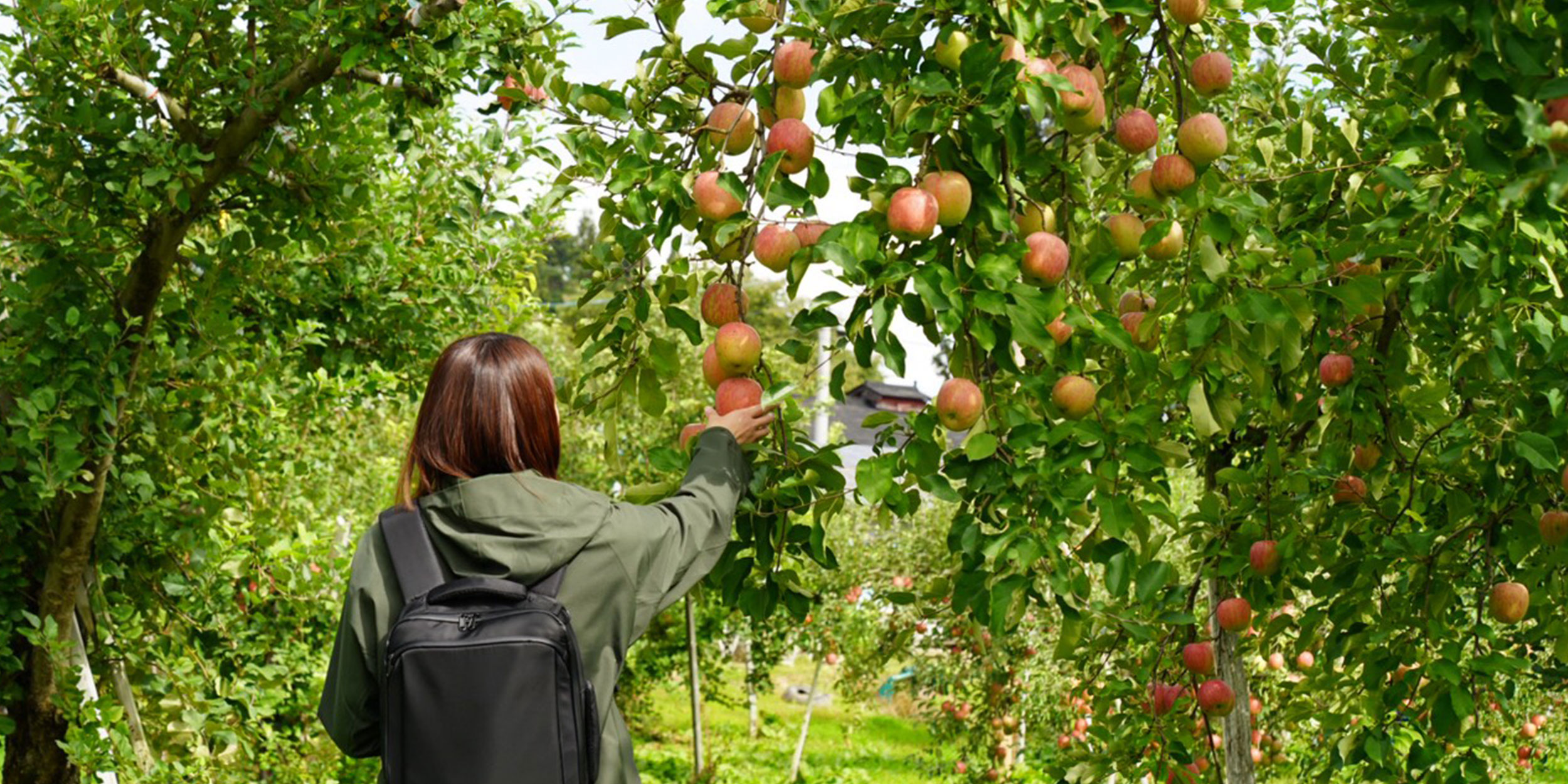 楽しむ・イベント