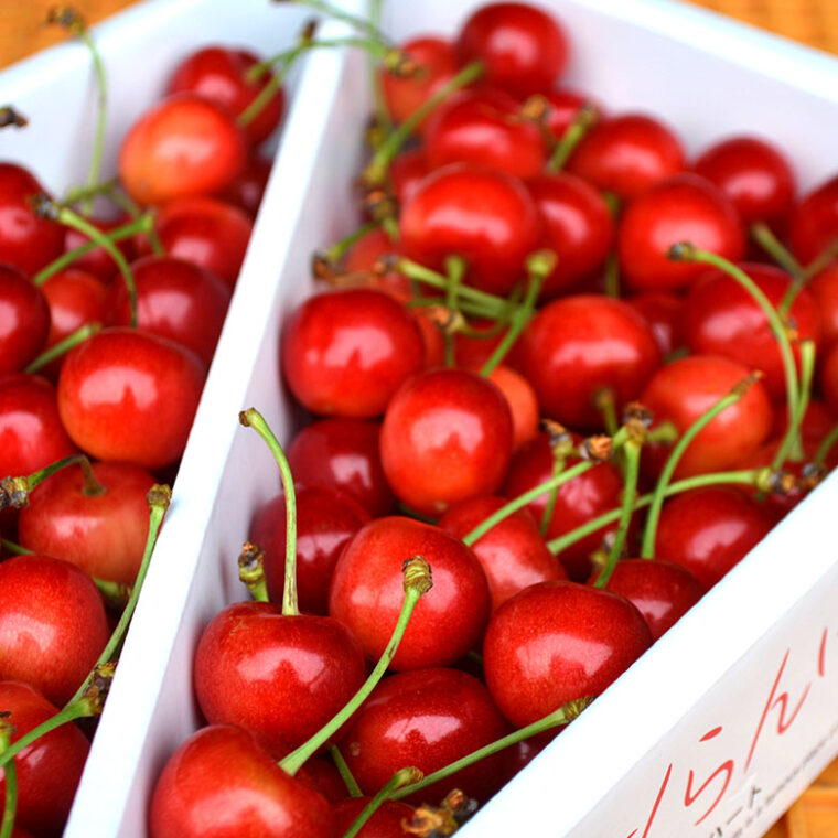 りんご詳細画像