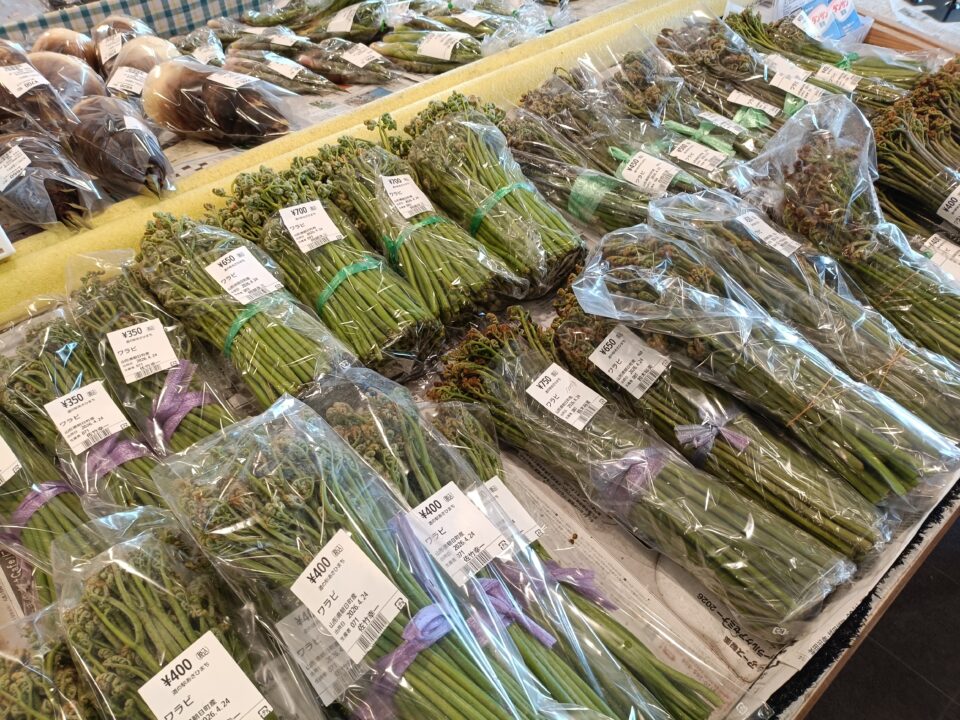 4月24日 産直情報