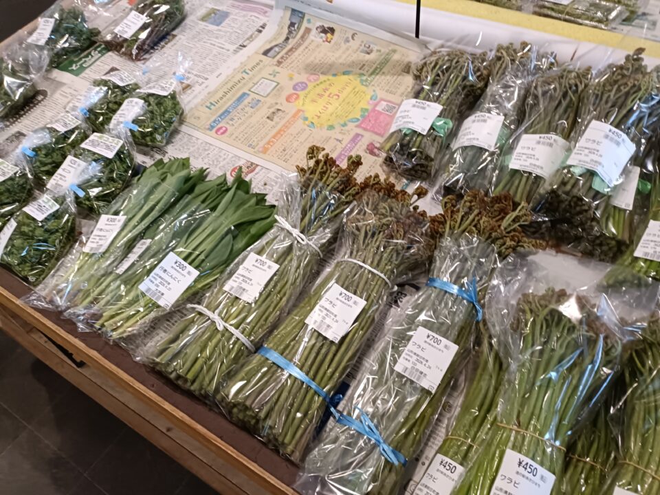 わらび、タケノコ